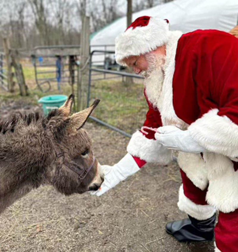 Santa Brian visiting a donkey at a ranch